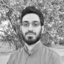alizadeh-496