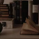 Alba the Translator