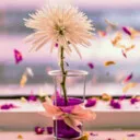 S_Aydin