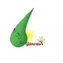 پژوهشگر
