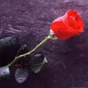کاربر185682