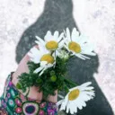 کاربر186036