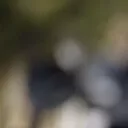 محمدابراهیمی