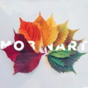 م.نصیری