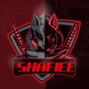 Bijan_shafiee