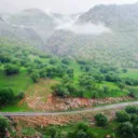 amin mohammadi1377