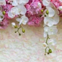 رضایی4644