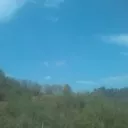 مسلم علیمحمدی اشیانی