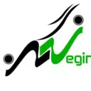 شرکت  فنی مهندسی نگین