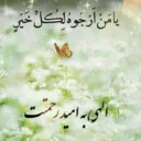 شقایق شقایقی