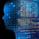 programmer2020