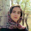 fatemehafshar