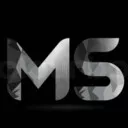 شرکت ترجمه MS