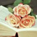 رحـمـانـی
