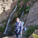 پویااسترابادی