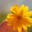 کاربر455019