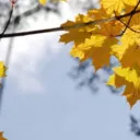 کاربر466665