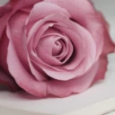مهرسا صالح