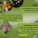 IMahsamohammadi