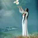 سپیدار