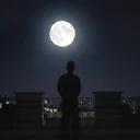 کیان پیغامی نسب