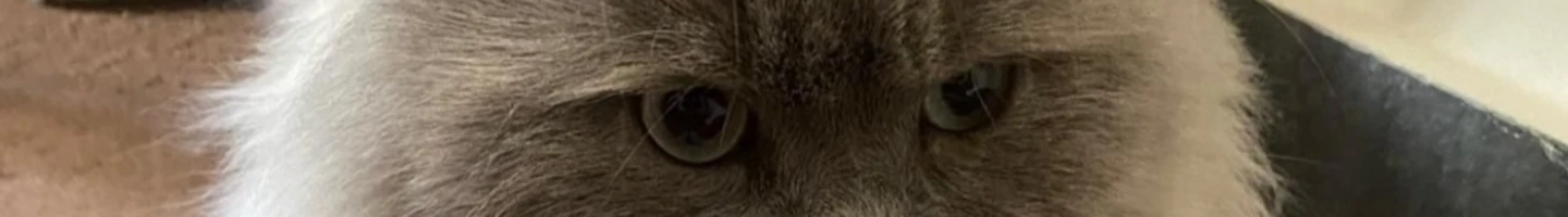 User Profile Image